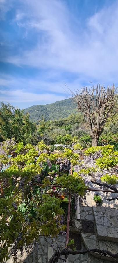 Studio De Charme + Terrasse : Verdon, Lac, Plages Claviers Экстерьер фото